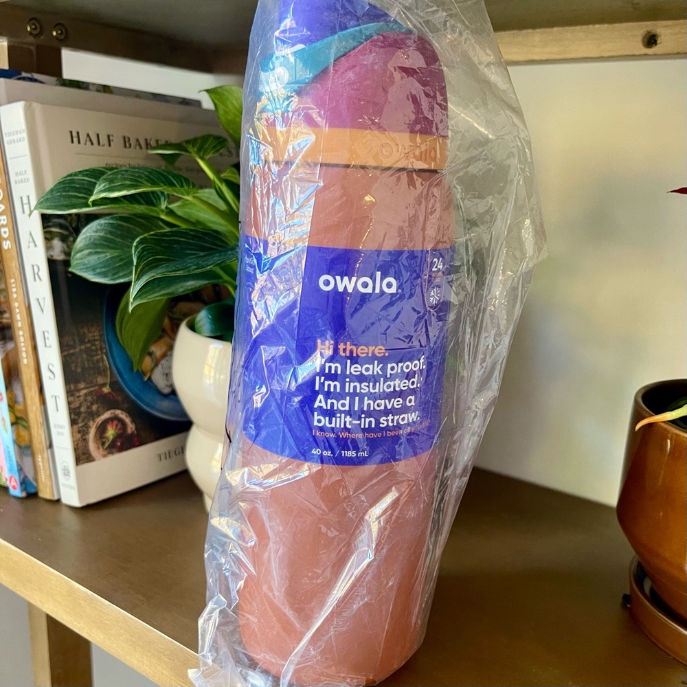 Owala FreeSip Insulated Stainless Steel Water Bottle Gemstone Chic